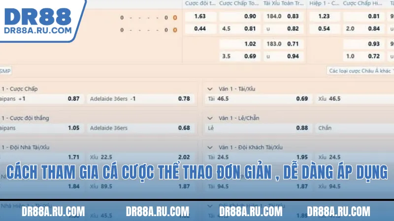 Cách tham gia cá cược thể thao đơn giản , dễ dàng áp dụng